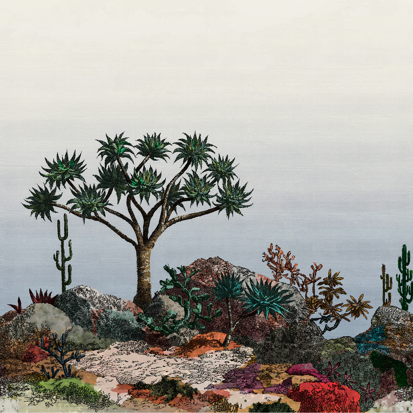 Yucca Nobilis | Panoramique