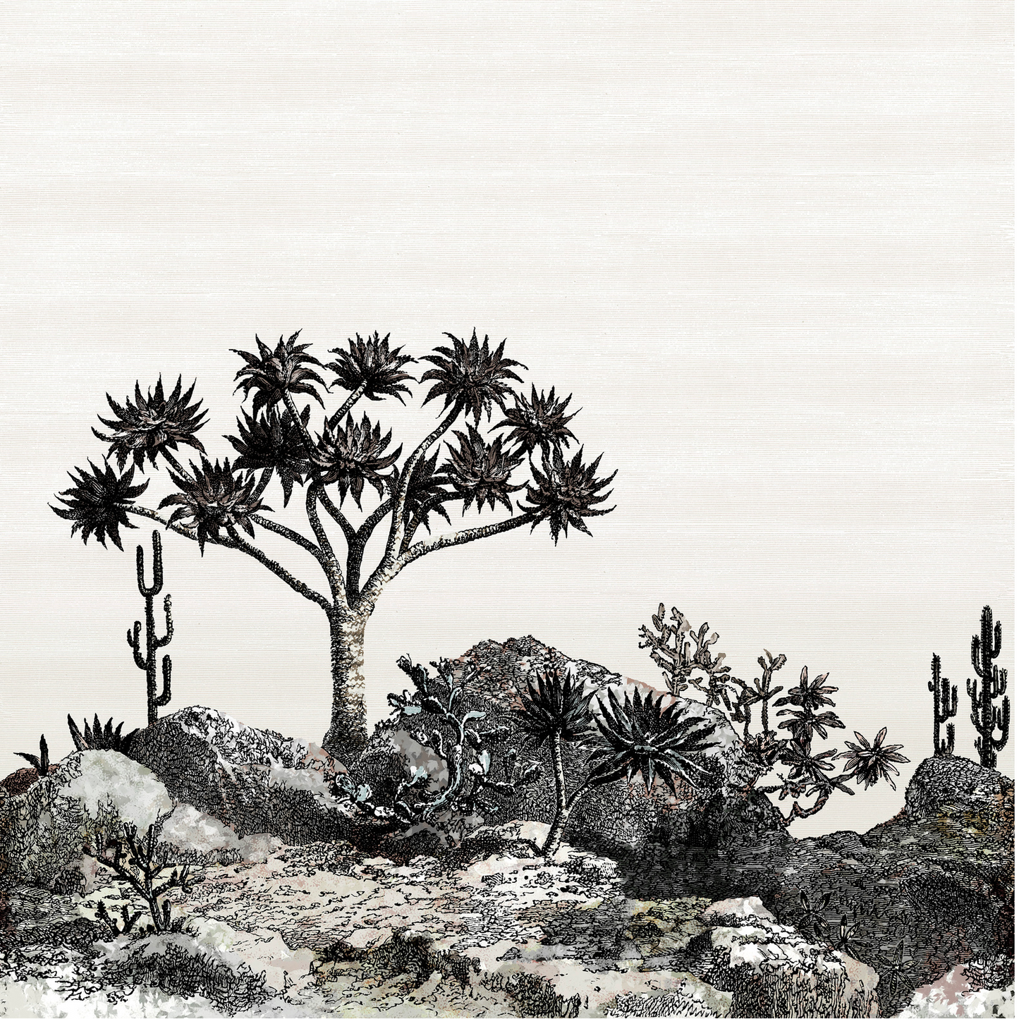 Yucca Nobilis | Panoramique